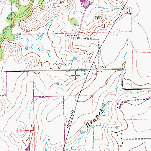 Topographic Map of Polser Elementary School, TX