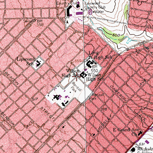 Topographic Map of Woodrow Wilson High School, TX