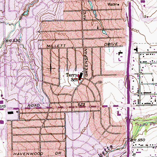 Topographic Map of T G Terry Elementary School, TX