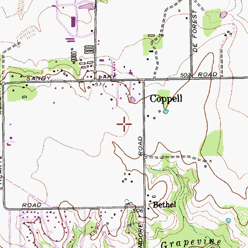 Topographic Map of Austin Elementary School, TX