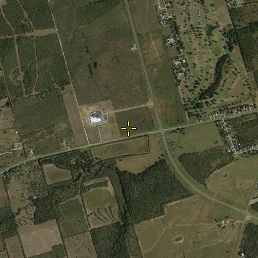 Aerial/Satellite Image of Vogel Elementary School, TX