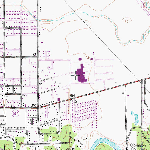 Topographic Map of Dickinson High School, TX