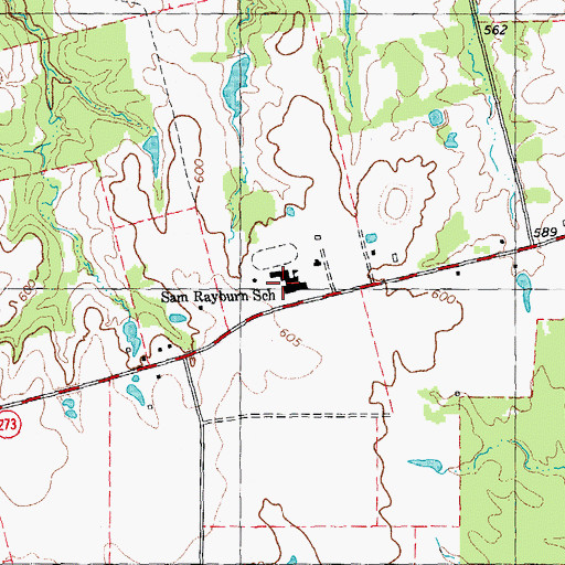 Topographic Map of Sam Rayburn Elementary School, TX