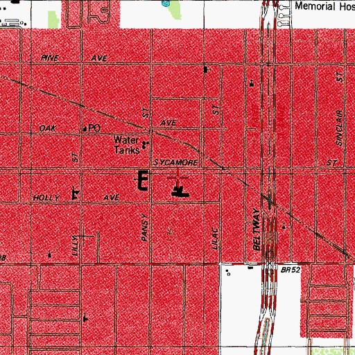 Topographic Map of Golden Acres Elementary School, TX