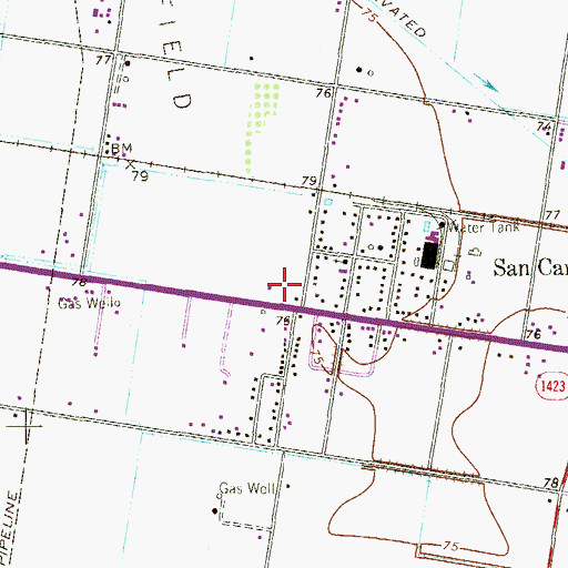 Topographic Map of San Carlos Elementary School, TX