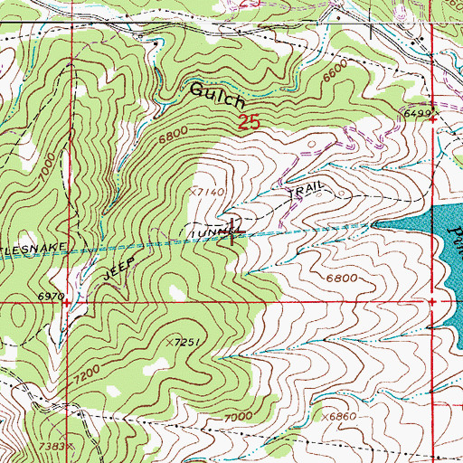 Topographic Map of Rattlesnake Dam, CO