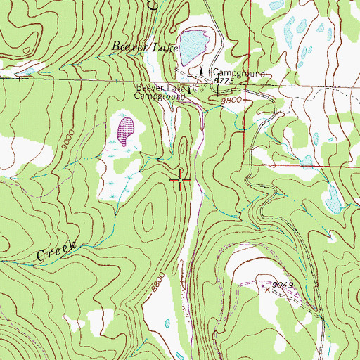 Topographic Map of Silver Jack Dam, CO