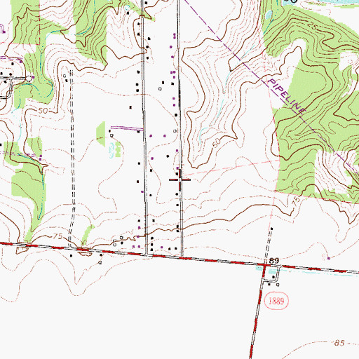 Topographic Map of Calallen Wood River Elementary School, TX