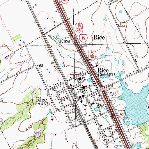 Topographic Map of Rice Elementary School, TX