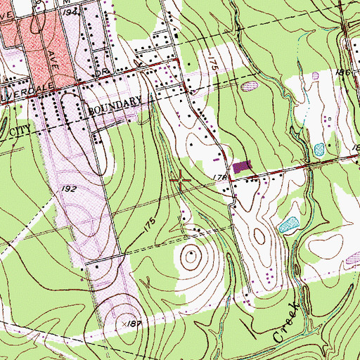 Topographic Map of Anson W Runyan Elementary School, TX