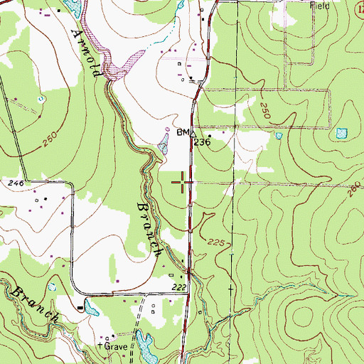 Topographic Map of Magnolia High School, TX