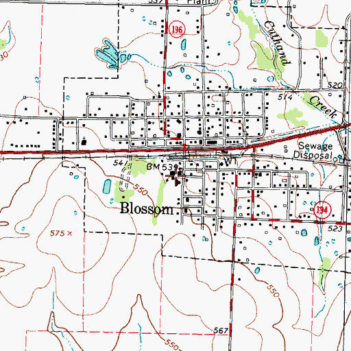 Topographic Map of Blossom Elementary School, TX