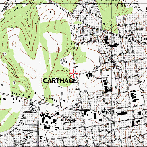 Topographic Map of Carthage Primary School, TX