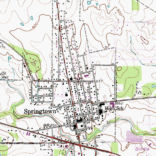 Topographic Map of Springtown Watson Elementary School, TX
