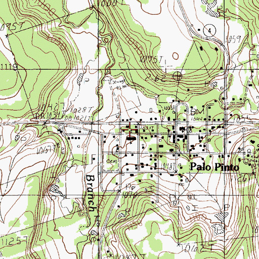 Topographic Map of Palo Pinto Elementary School, TX