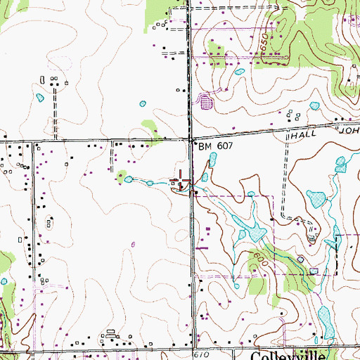 Topographic Map of Taylor Elementary School, TX