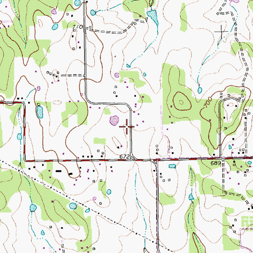 Topographic Map of Shady Grove Elementary School, TX