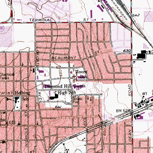Topographic Map of Moore M H Elementary School, TX