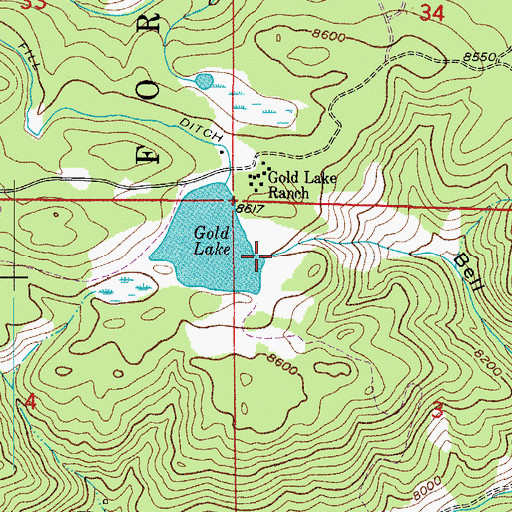Topographic Map of Gold Lake Dam, CO