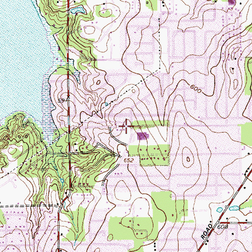 Topographic Map of Ditto Elementary School, TX