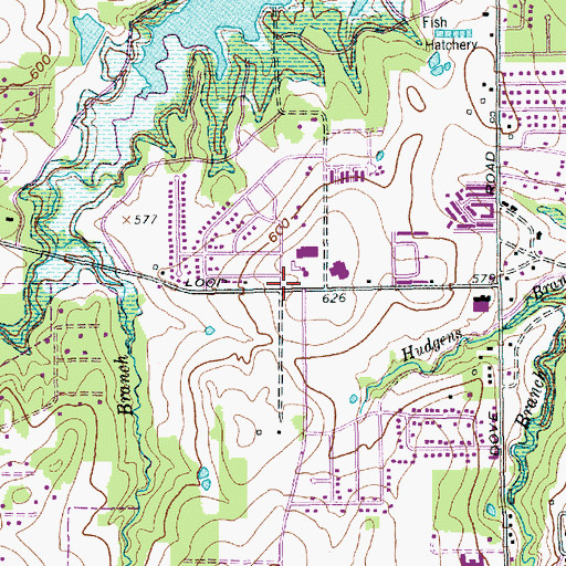 Topographic Map of Dove Elementary School, TX