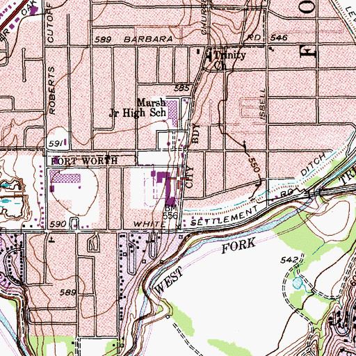 Topographic Map of Castleberry High School, TX