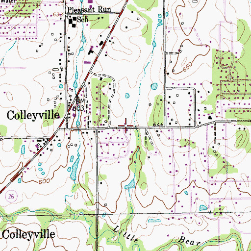 Topographic Map of Bransford Elementary School, TX
