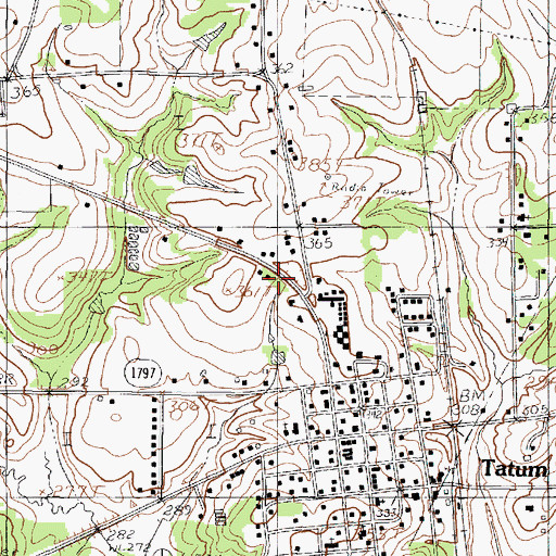 Topographic Map of Tatum Elementary School, TX