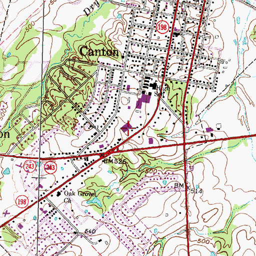 Topographic Map of Canton Elementary School, TX