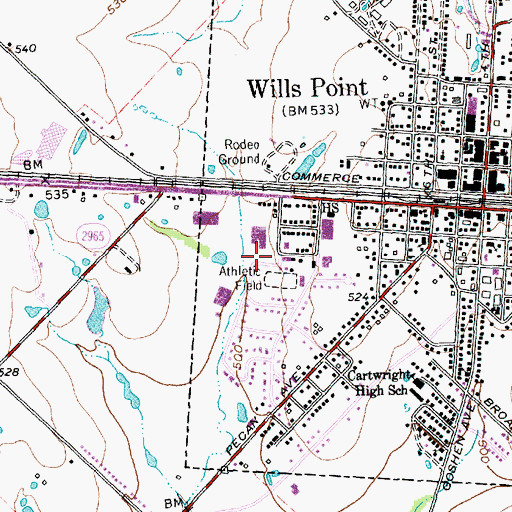 Topographic Map of Wills Point Primary School, TX