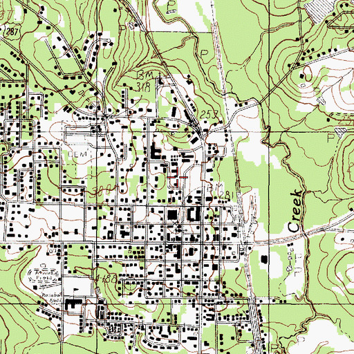Topographic Map of Woodville Intermediate School, TX