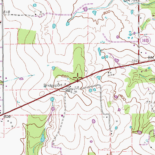 Topographic Map of Bridgeport Intermediate School, TX