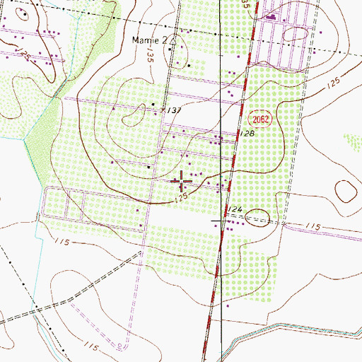 Topographic Map of Americana Grove Number 2 Colonia, TX