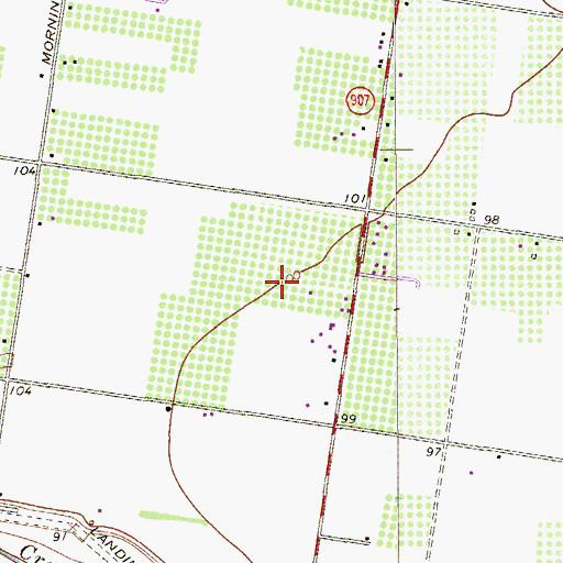 Topographic Map of Alamo Orchards Colonia, TX