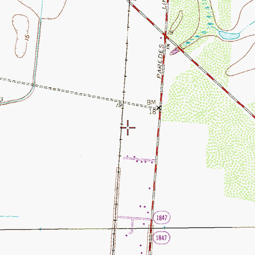 Topographic Map of Las Flores Colonia, TX