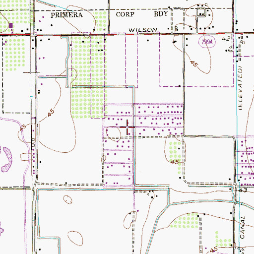 Topographic Map of Las Palmas Colonia, TX