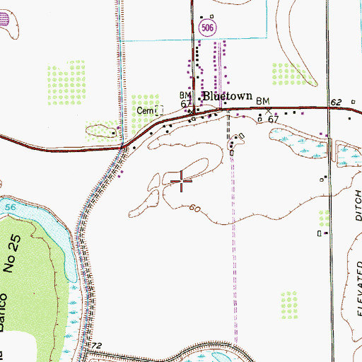 Topographic Map of Bluetown Colonia, TX
