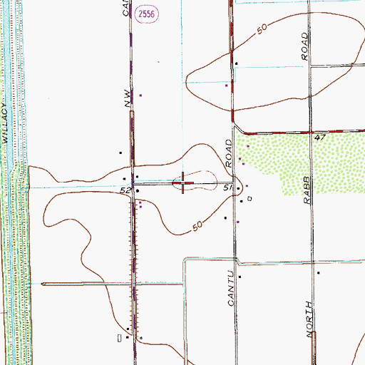 Topographic Map of East Cantu Road Colonia, TX