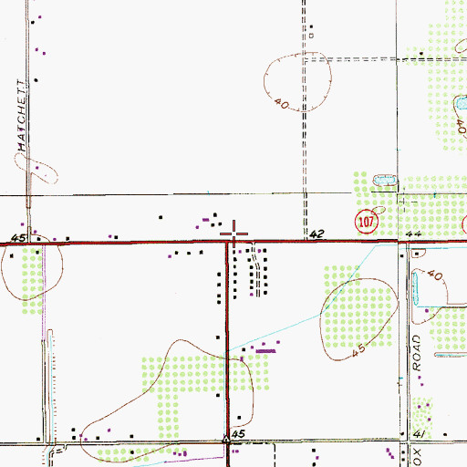 Topographic Map of Eggers Colonia, TX