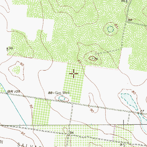 Topographic Map of Edinburg Acres Colonia, TX