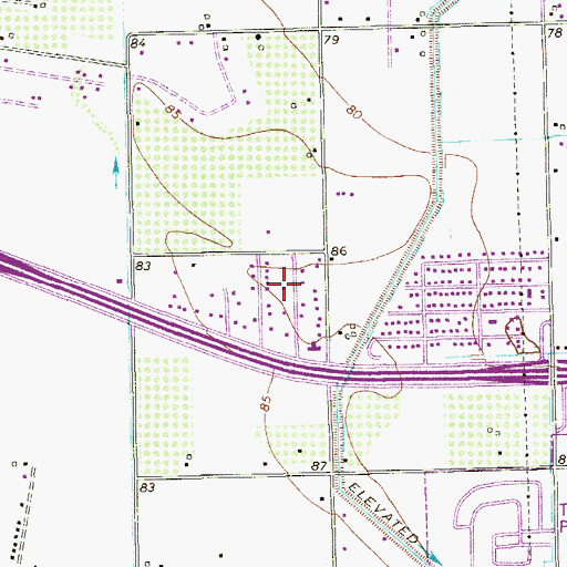 Topographic Map of Flora Colonia, TX