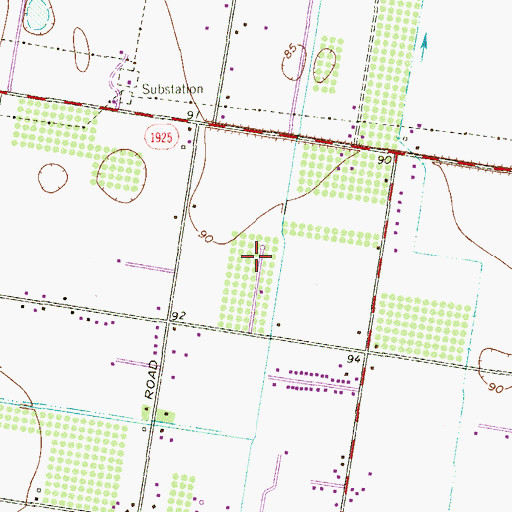 Topographic Map of Floresta Colonia, TX