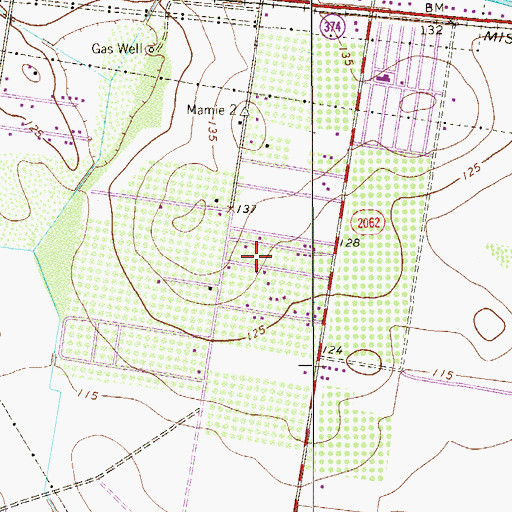 Topographic Map of Four Sure All Right Colonia, TX