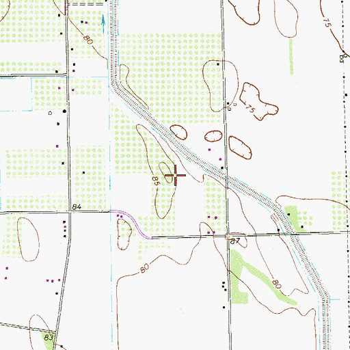 Topographic Map of Dimas Number 3 Colonia, TX