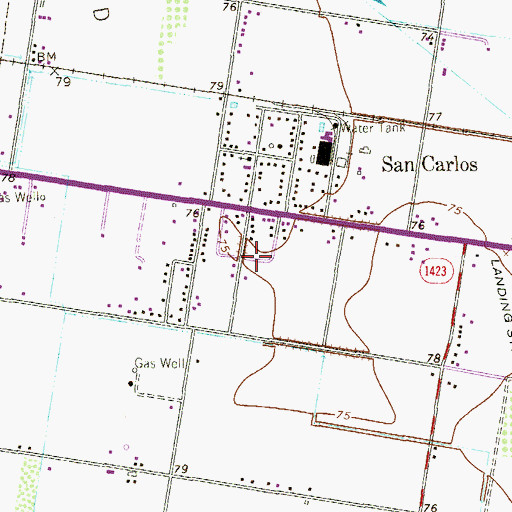 Topographic Map of Colonia Tejana, TX