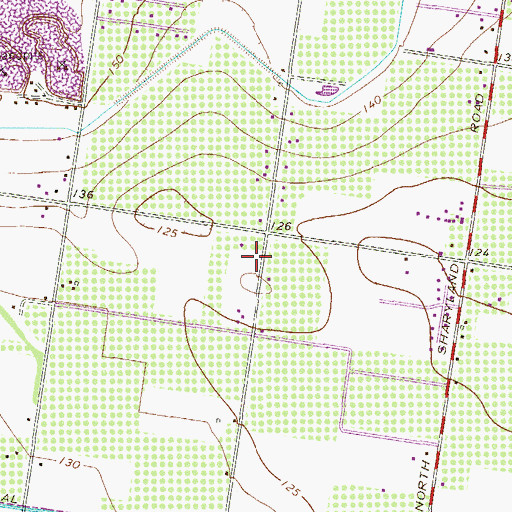 Topographic Map of Coronado Colonia, TX