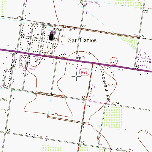 Topographic Map of D T Villareal Colonia, TX