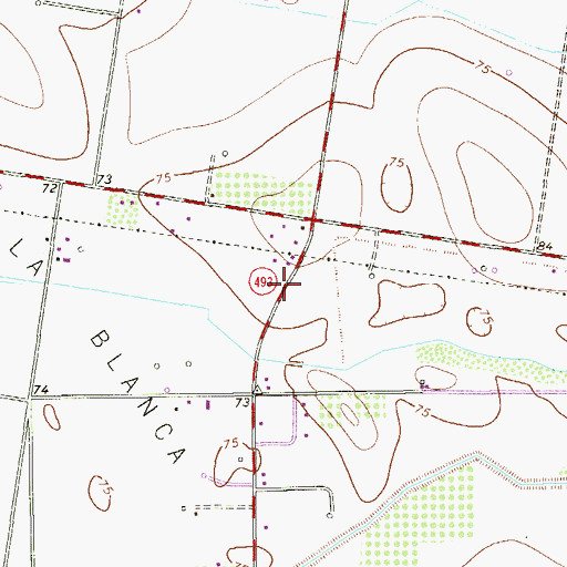 Topographic Map of Delta-Rodger Colonia, TX