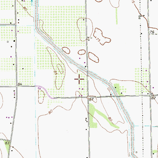 Topographic Map of Dimas Number 2 Colonia, TX