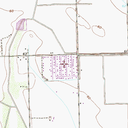 Topographic Map of Capisallo Park Colonia, TX